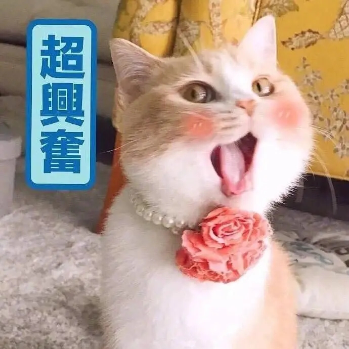 广州画室